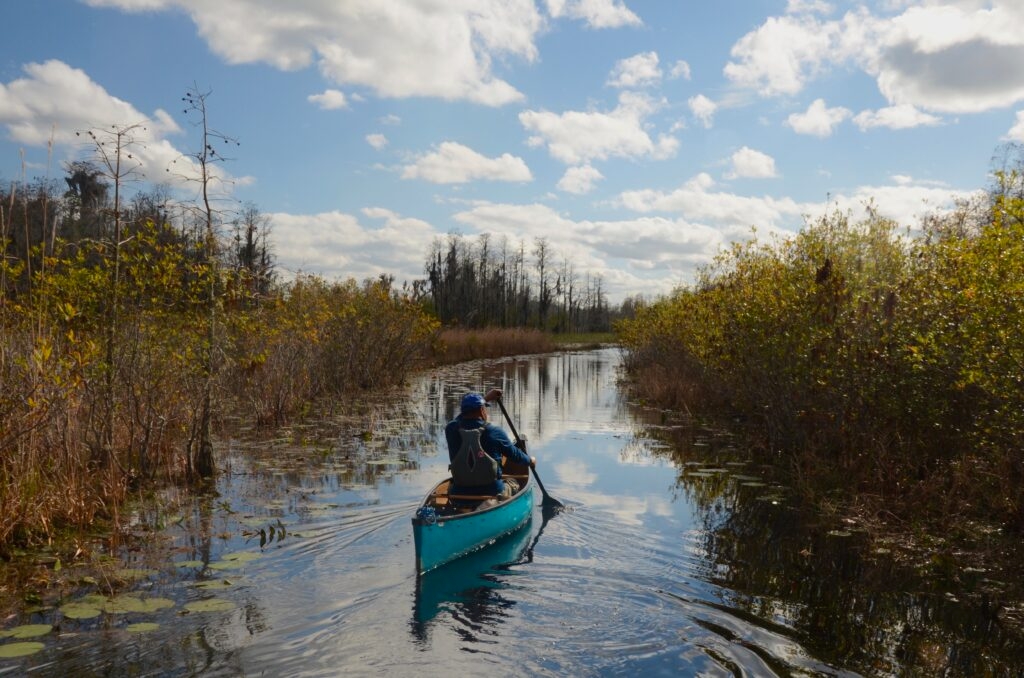 Georgia House again takes up legislation intended to protect the Okefenokee from future mines