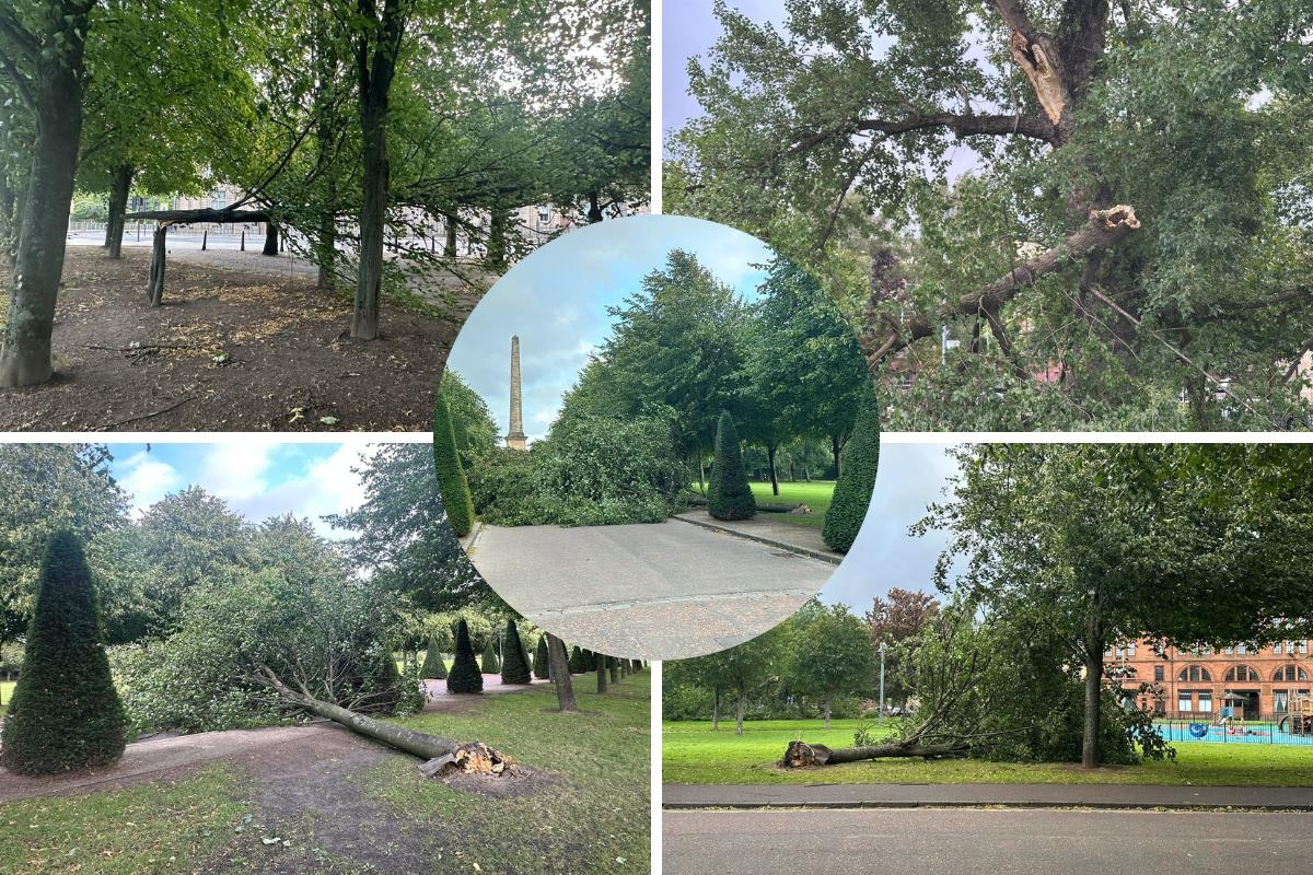 Check out these dramatic images of five trees toppled in a popular Glasgow park