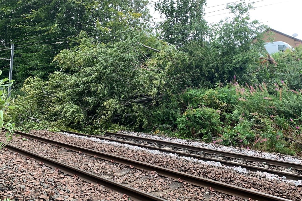 Teams rush to busy Glasgow railway line after trees fall on tracks