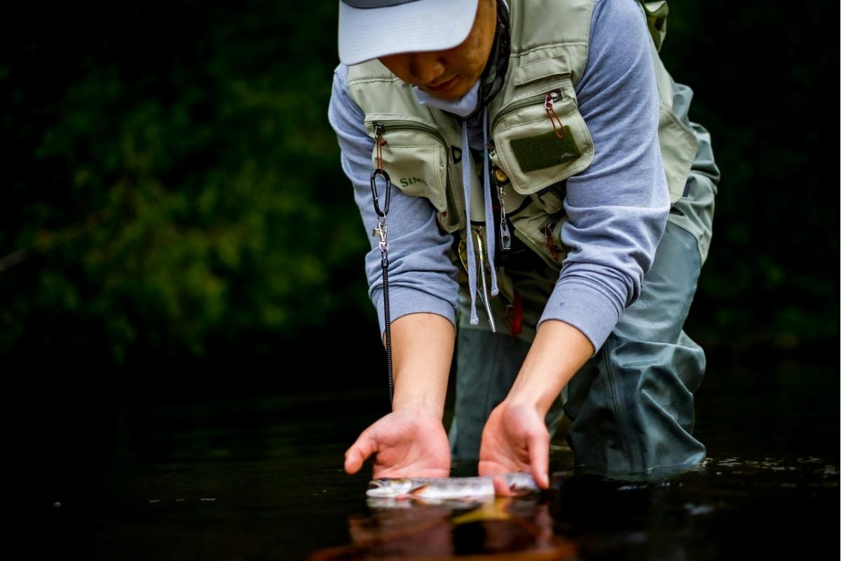 Warning issued as SEPA hunt for cause of 150 dead fish in river