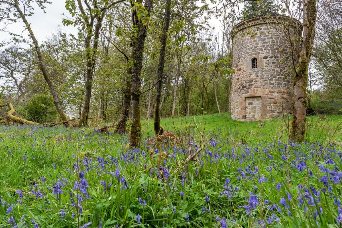 £3 million project to restore wildlife in Cumbernauld approved