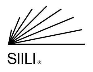 Siili Solutions Plc: Share Repurchase 2.6.2025