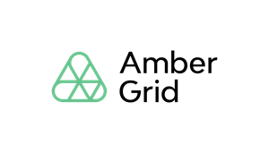 On Natural Gas Transmission System Operator's Revenue Cap of Regulated Activities for 2026