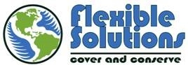 FSI ANNOUNCES TEN CENT SPECIAL DIVIDEND