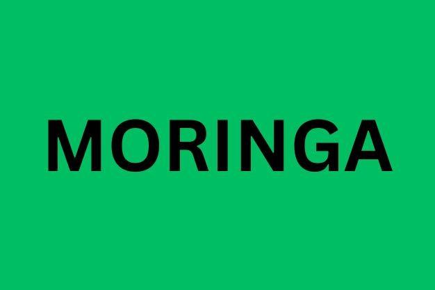 Moringa: Learn Why These Moringa Powder Supplements Are Transforming Energy, Immunity, and Overall Health