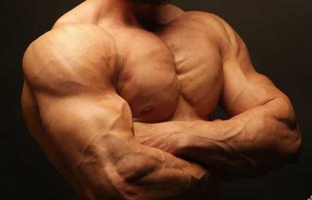 4 Best Supplements for Muscle Growth in 2025 - Legal Steroid Alternatives & Bodybuilding Supplements for Bulking and Strength