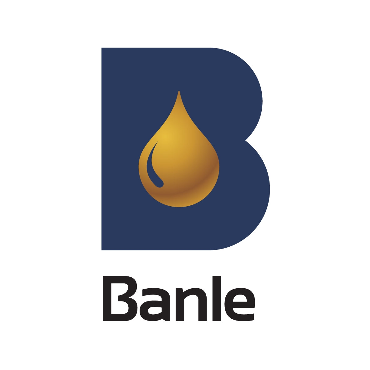 CBL International Limited (NASDAQ: BANL) to Participate in the Lytham Partners Spring 2025 Investor Conference on May 29, 2025