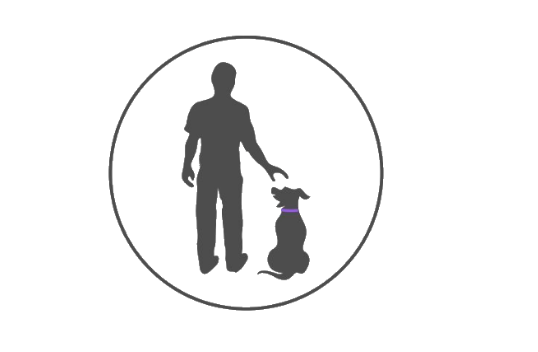 Zoeta Dogsoul Launches the "Neurobond Invisible Leash" Dog Behavior Program for Canine Cognitive Alignment