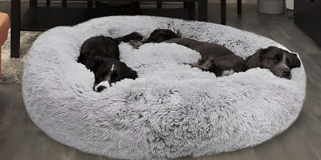 MrFluffyFriend Launches XXXXL Calming Dog Bed for Large and Anxious Dogs
