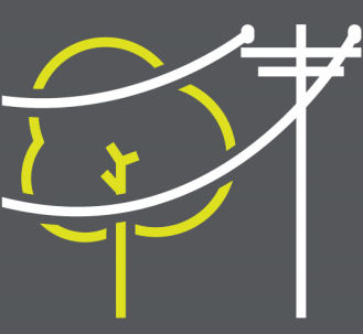 Heads up! Alectra reminds residents to stay safe around powerlines
