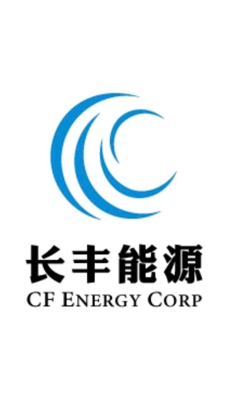 CF Energy Announces Financial Results for the Three-month period ended March 31, 2025