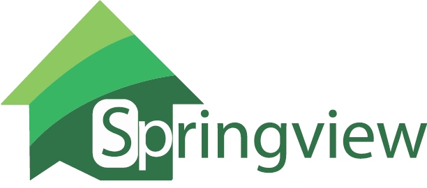 Springview Holdings Ltd Achieves bizSAFE Level 4 Certification, Accelerating Growth and Expanding Market Reach