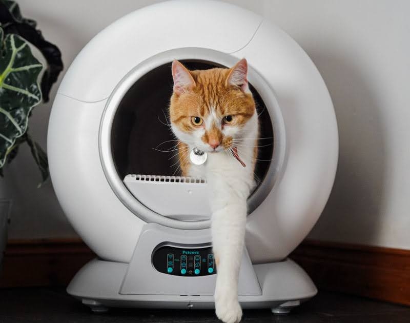 PetCove Unveils Game-Changing Smart Solutions for Enhanced Pet Parenthood