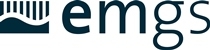 EMGS – Vessel activity and multi-client sales update for the first quarter 2025