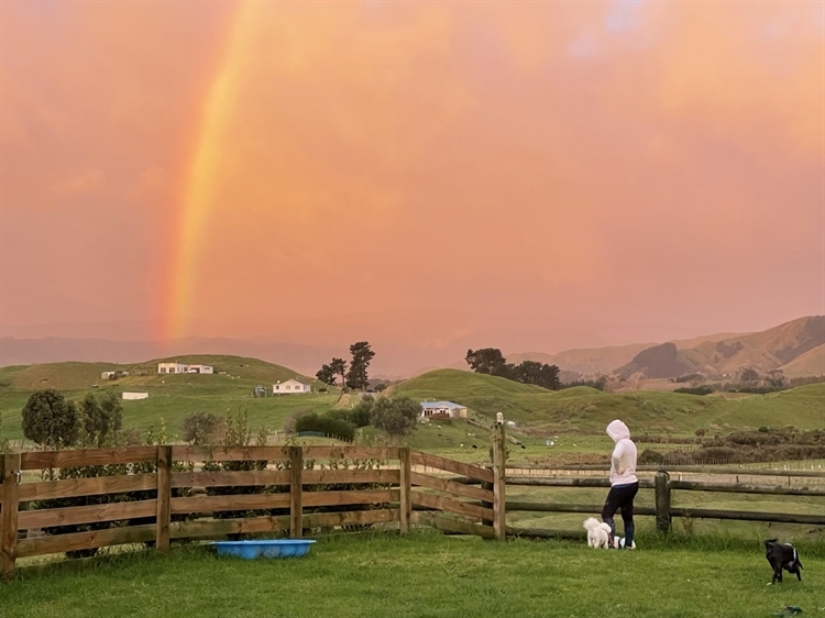 Ten Businesses You Could Buy to Escape the Apocalypse