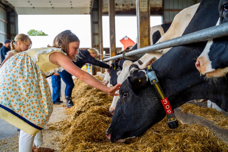 Discover, Taste, and Support Wisconsin Dairy Farmers During June Dairy Month