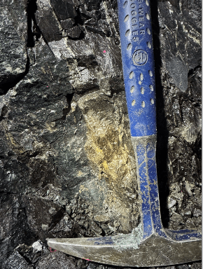 West Red Lake Gold Highlights Bulk Sample Learnings