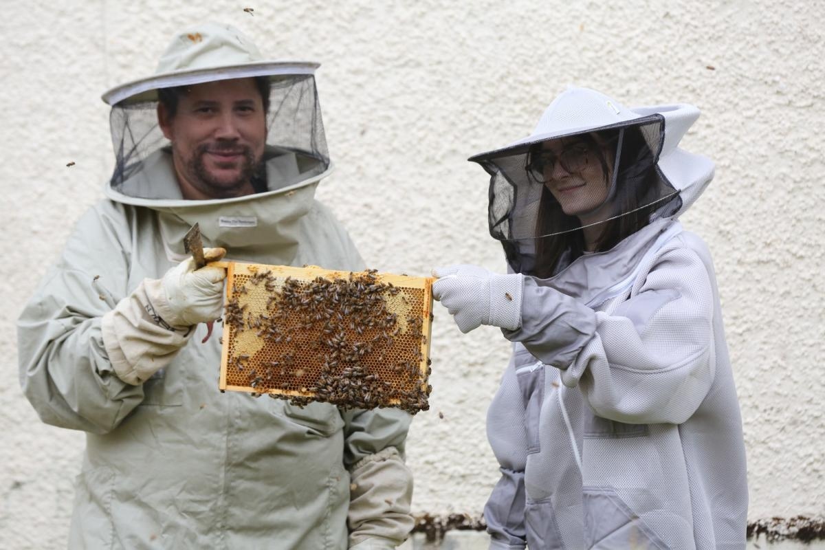 Take a look inside the Port Glasgow apiary home to half a million bees