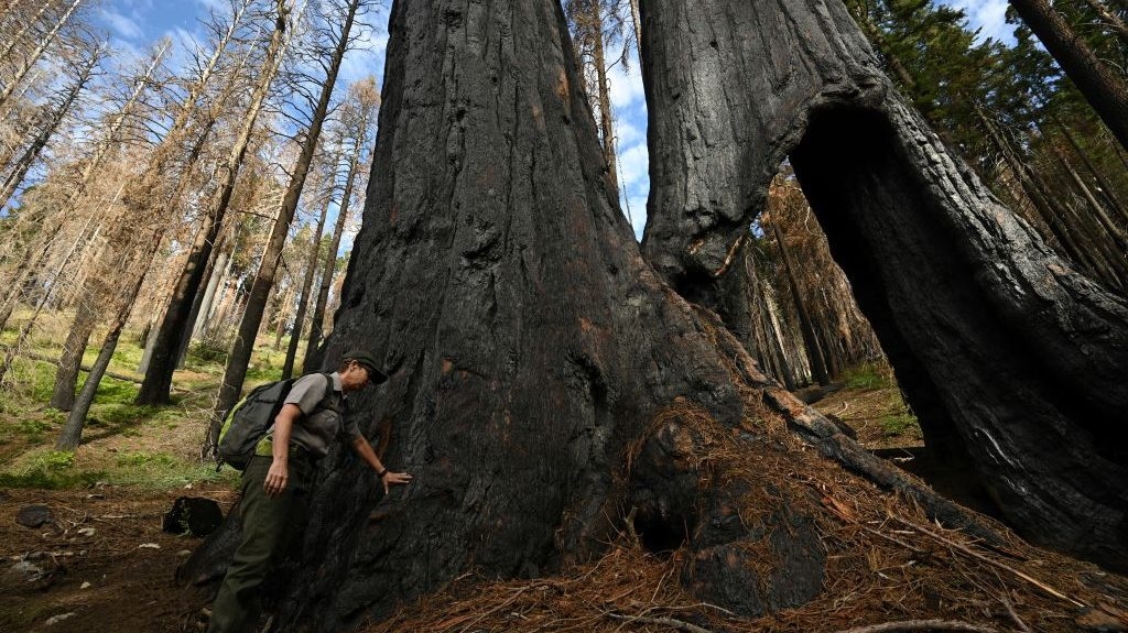 Trump takes aim at the people who protect national parks from climate change