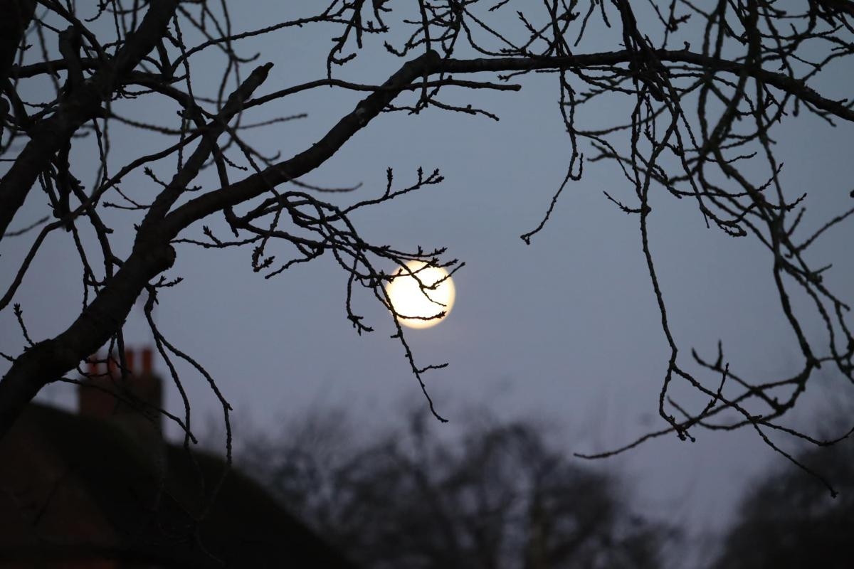 When to see February's 'Snow Moon' this week