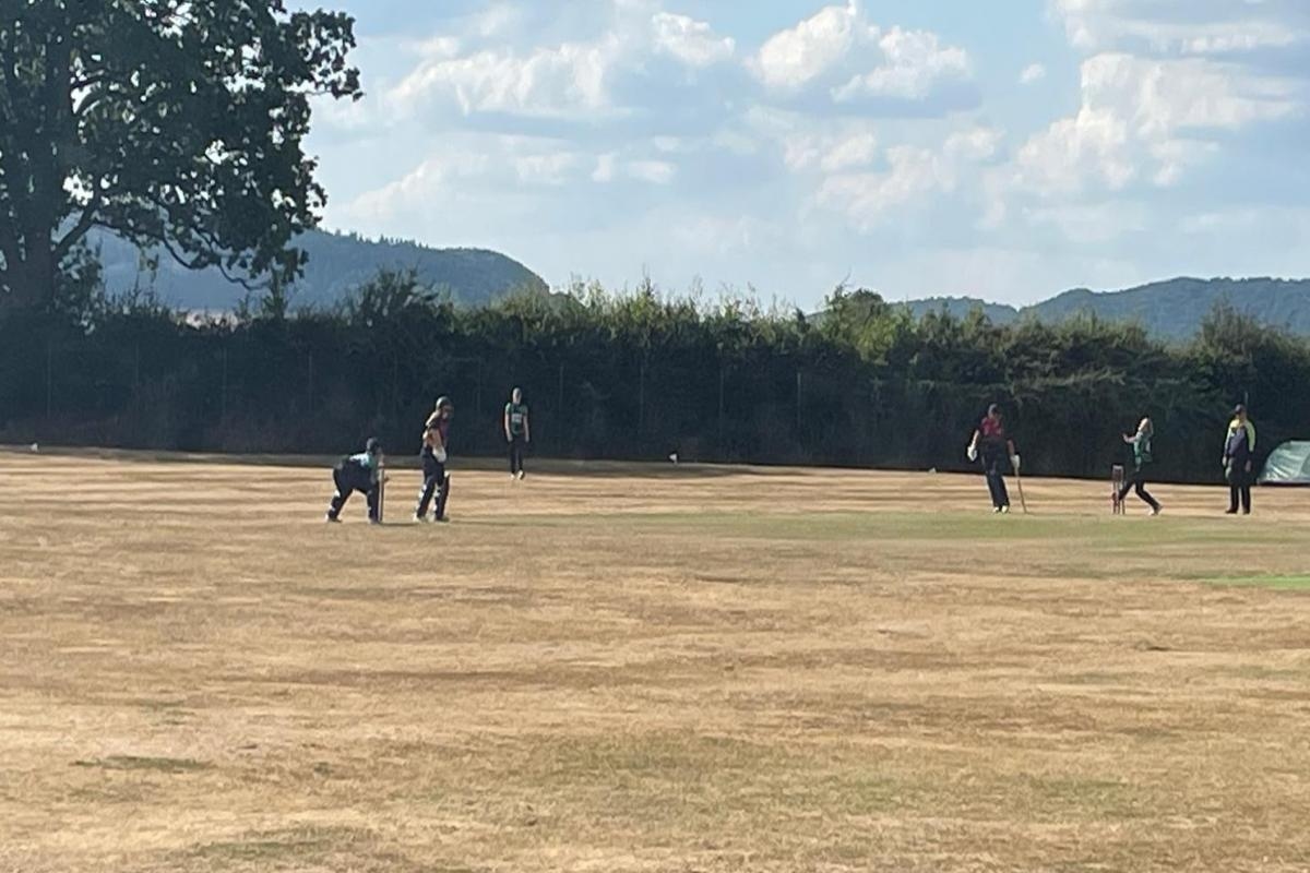Herefordshire women suffer defeats against Northumberland