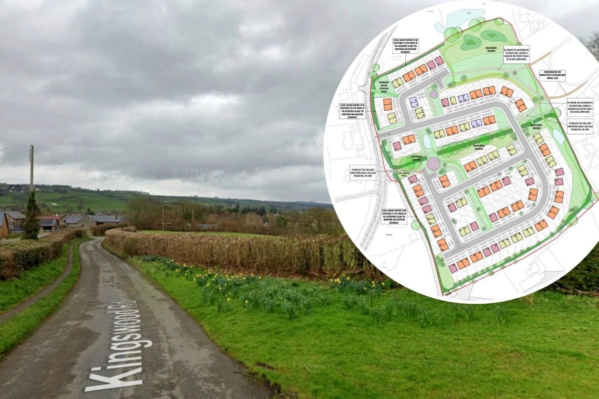 Traffic fears as 110-home plan for town revealed