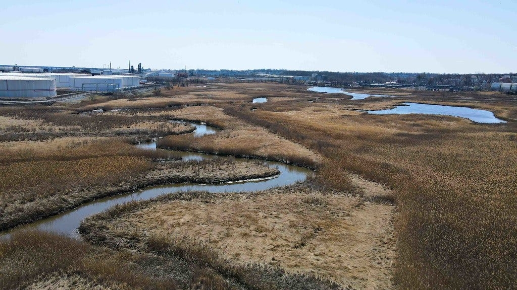 NJ orders Woodbridge company to clean up illegal dumping, pay $200K in fines