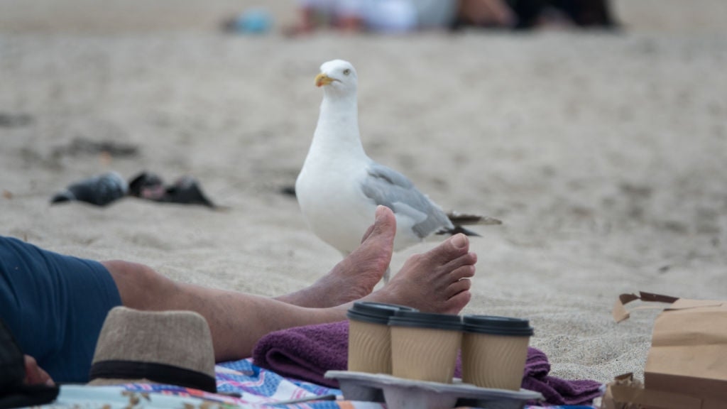Brits embrace sleep tourism and solo travel in 2025