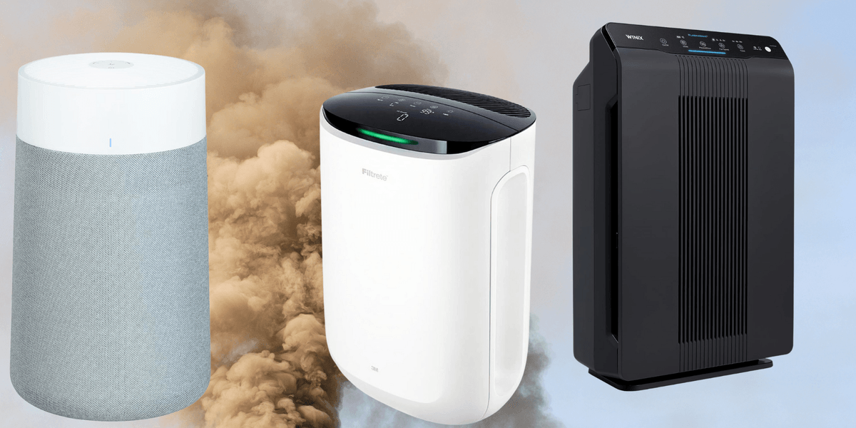 People With Asthma And Allergies Share The Air Purifiers That 'Actually Make A Difference'