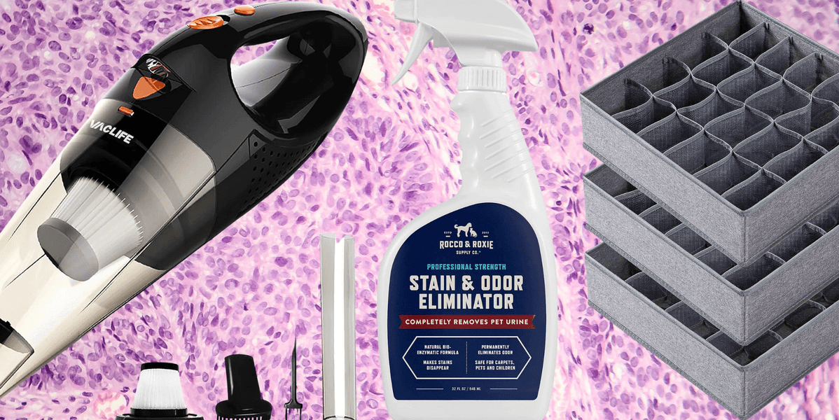 27 Products On Amazon That Inspired Over 1,000 People To Leave A 5-Star Review