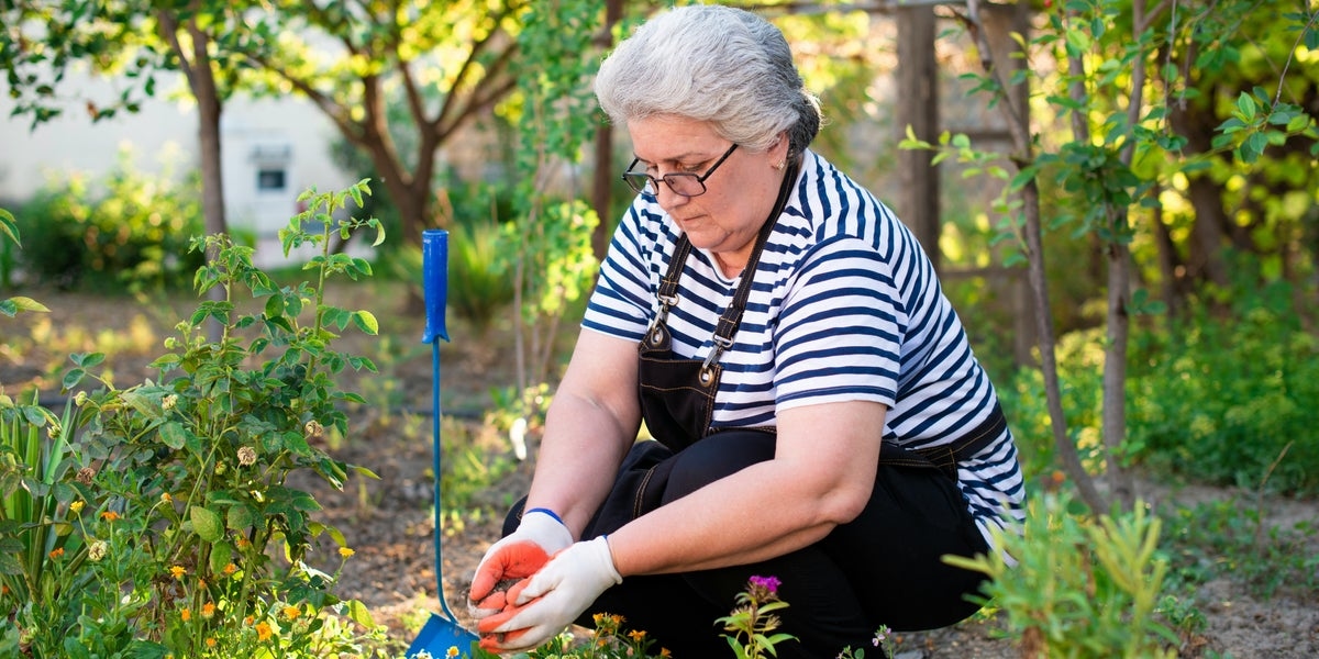 UK Gardeners Urged To Start These Key August Tasks Now