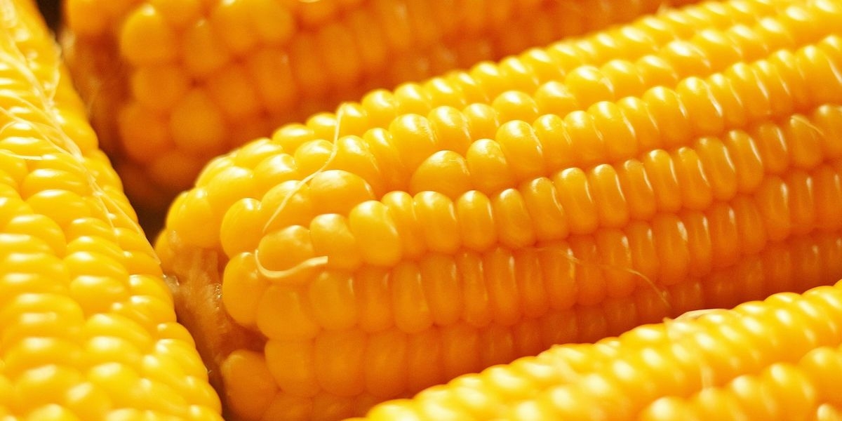The Simple (And Slightly Gross) Way To Check Your Gut Health Using Sweetcorn