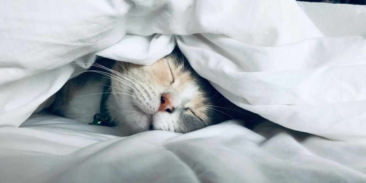11 Sleep Hacks That Actually Mean You'll Get Some Rest