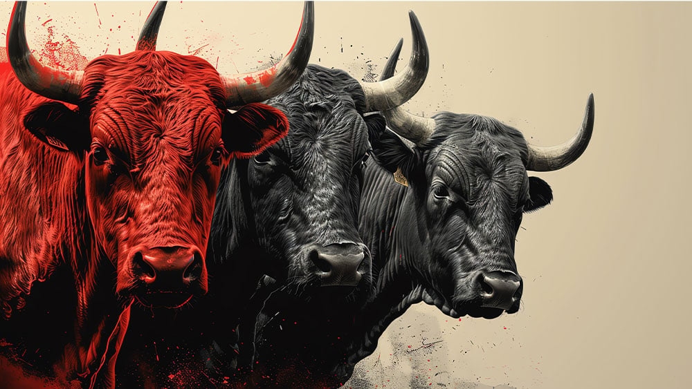 Stock Market Today: Nasdaq Rebounds On China Trade Talk Hopes; These New IPOs Shine As Dutch Bros Breaks Out (Live Coverage)