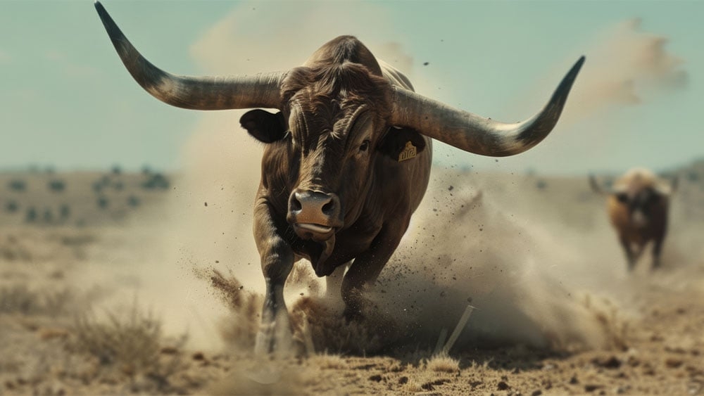 Dow Jones Futures: Trump Trade Deal Triggers Bullish Stock Market Rally; Amazon, Apple, Nvidia, Tesla Surge