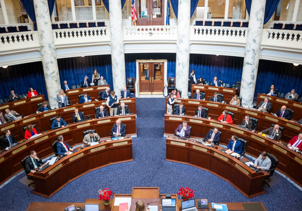 Idaho LWV sought state's help (and didn't get it) to raise awareness of Parental Choice Tax Credit