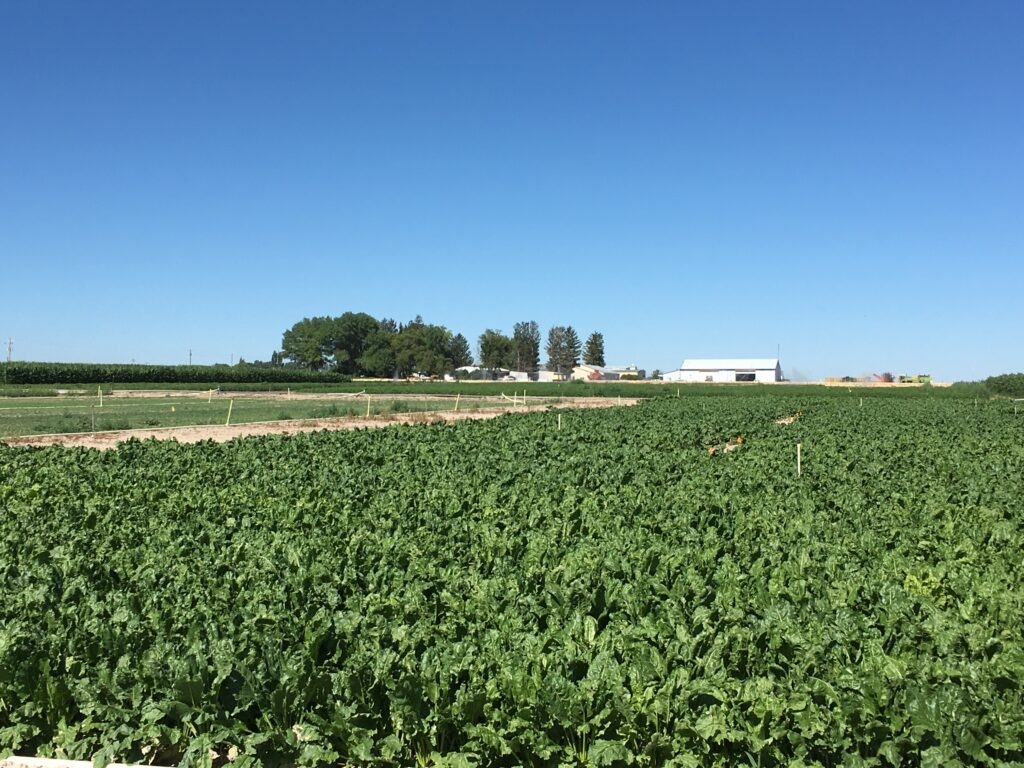 Federal government terminates University of Idaho climate grant for farmers