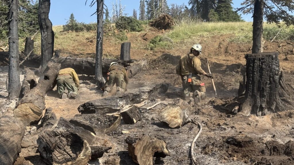 Are you firewise? Free event in Donnelly to teach Idahoans how to prepare for wildfire
