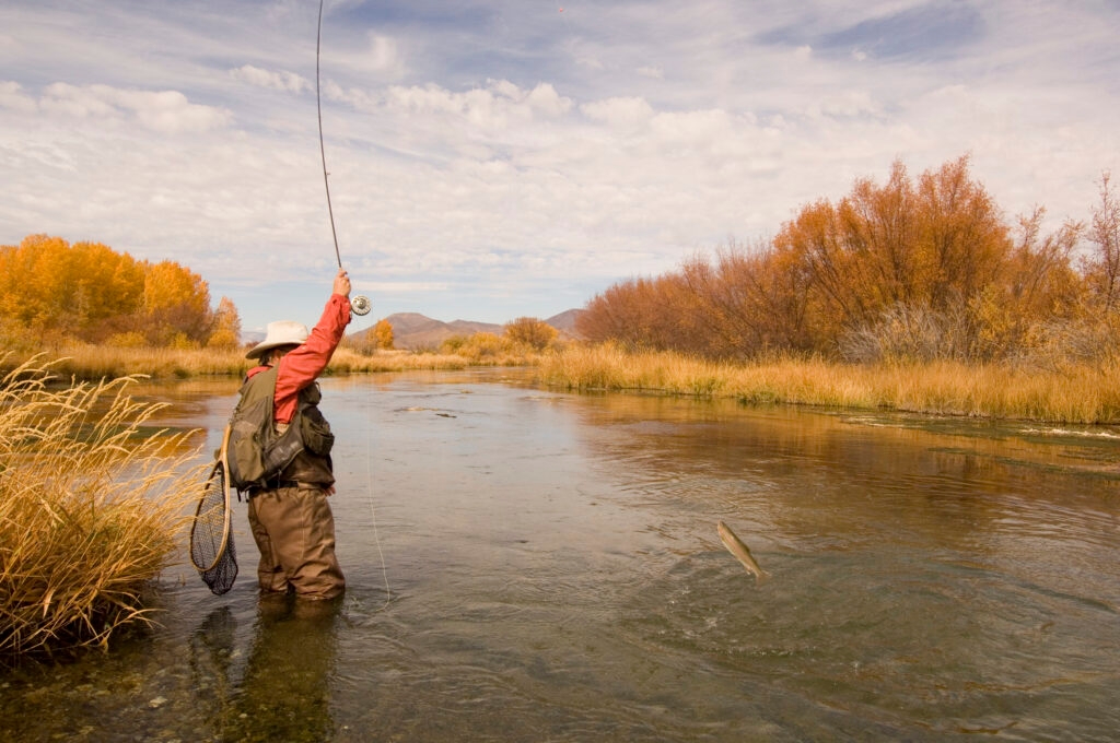 Idaho Fish and Game must evolve for the future of wildlife conservation