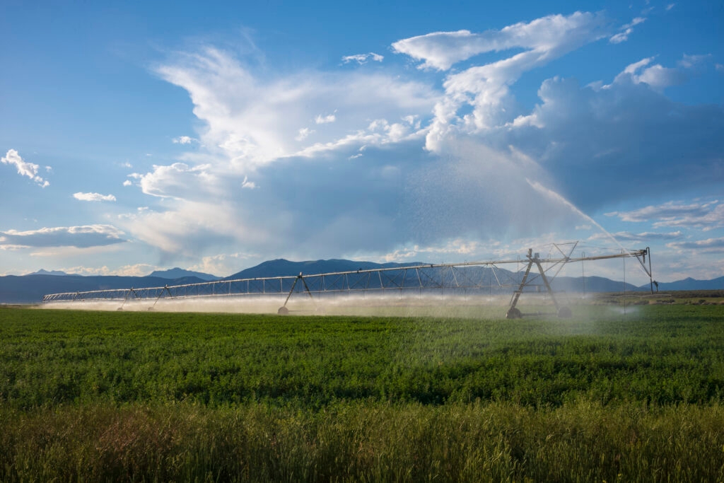 Federal agriculture grant loss is a major blow to Idaho's farmers
