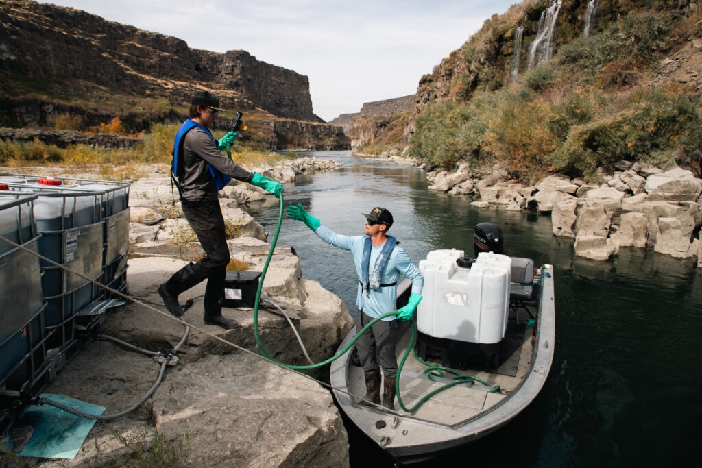 ‘We take this seriously': ISDA director on out-of-state boat traffic, Idaho quagga mussels