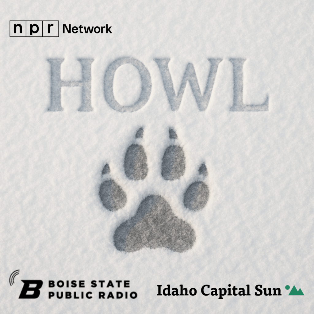 Boise State Public Radio, Idaho Capital Sun partner for June 17 wolf reintroduction panel discussion