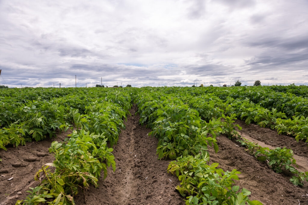 University of Idaho offers climate-smart grants for farmers