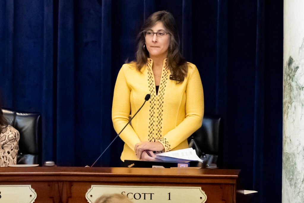 Anti-SLAPP bill heads to Idaho House with bipartisan support