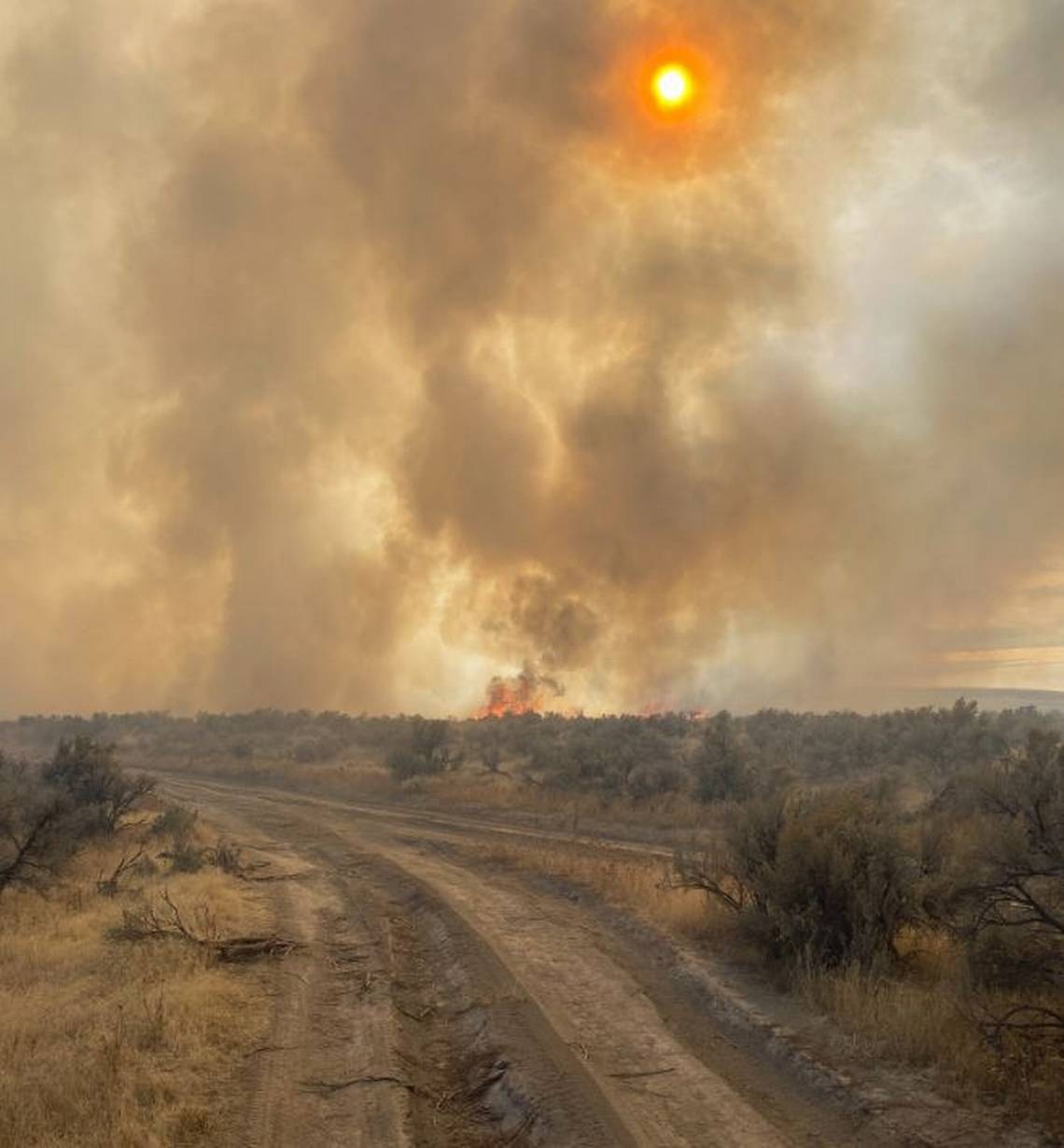 Idaho weather officials warn of water shortages, fire risk. Here's why