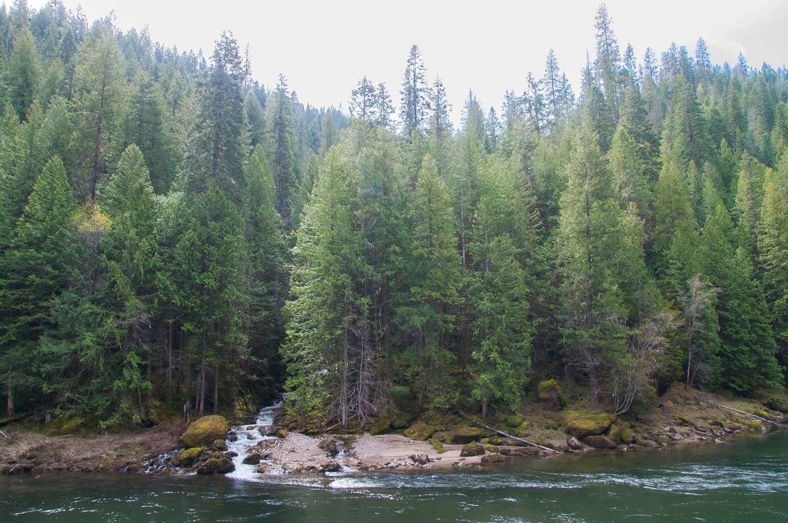Officials find body of man who went missing from Idaho campground