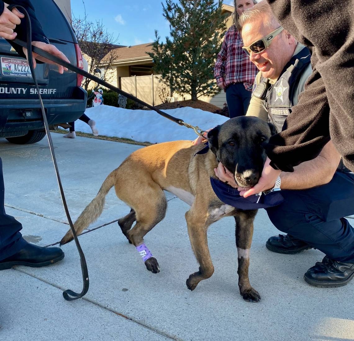 Man stabbed 2 K9 dogs. Ada deputies, Boise police were ‘legally justified' killing him