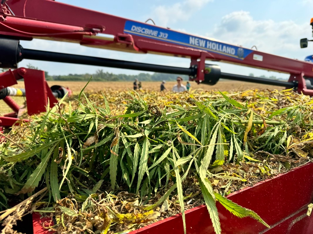 The Lower Sioux Tribe is investing in industrial hemp to help combat a housing shortage.