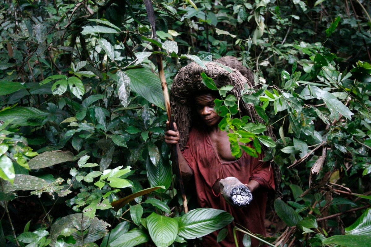 GLOBAL INDIGENOUS: A fight for forest health in the Congo